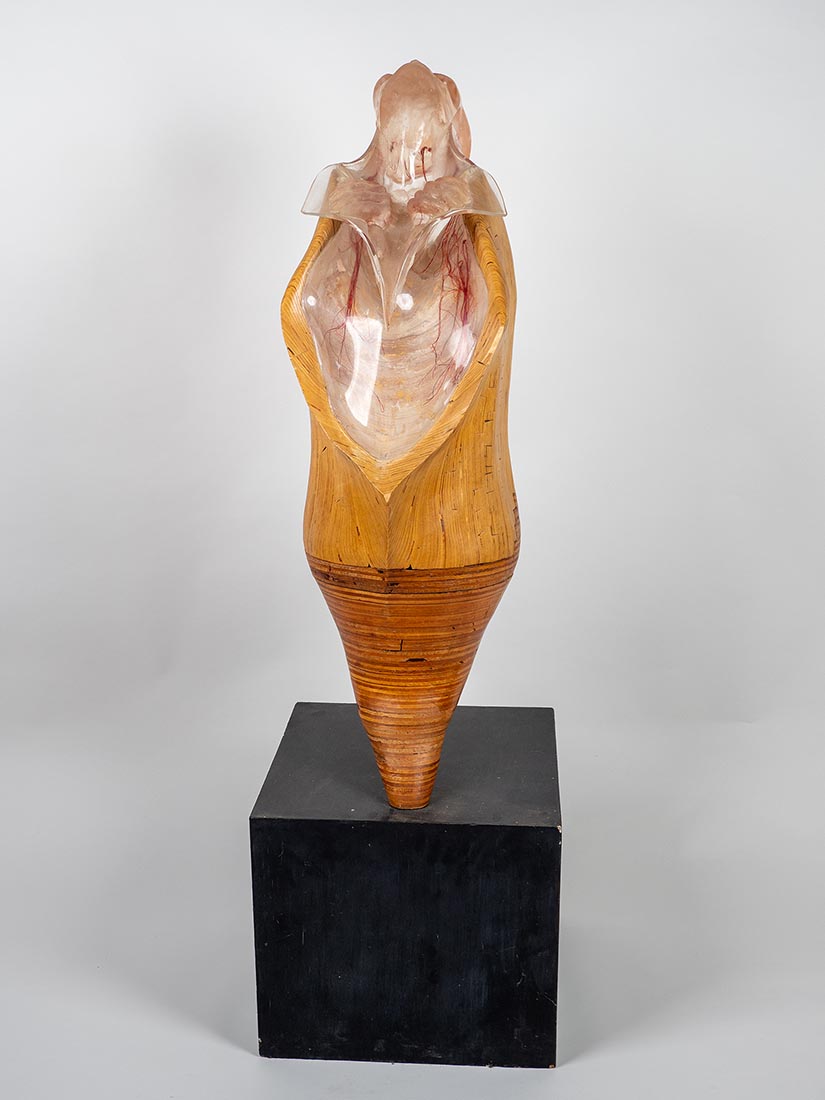 Dehiscence sculpture by Marjorie White Williams